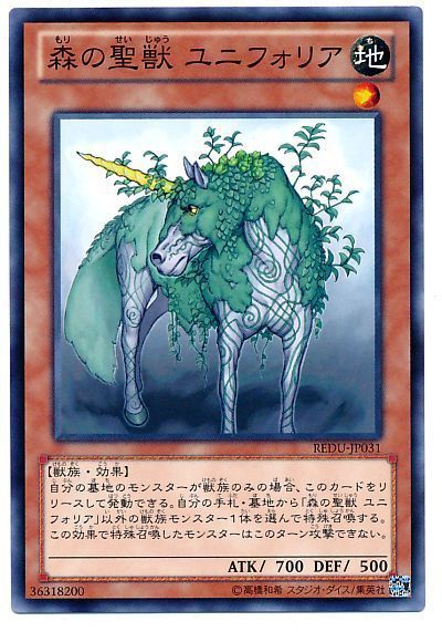 ȥ쥫 ȥȥŷԾŹ㤨ͷ å˥եꥢ REDU-JP031 Ρޥ šۡפβǤʤ30ߤˤʤޤ