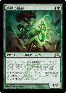 マジックザギャザリング MTG 緑 円環の賢者 GTC-123 レア 【中古】