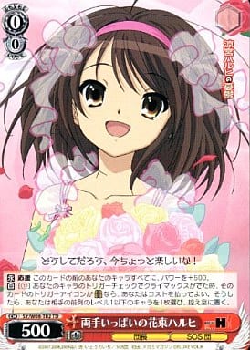 両手いっぱいの花束ハルヒ SY/W08-T02 TD 【中古】