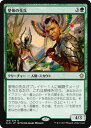 マジックザギャザリング MTG 緑 皇帝