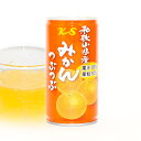 【紀州食品】つぶつぶみかん（1缶・190g）