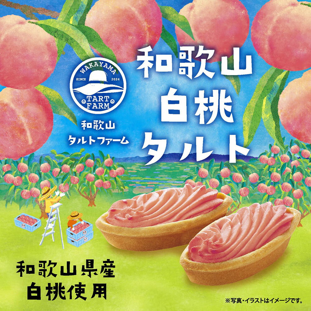 紀伊観光物産和歌山白桃タルト(5個入)