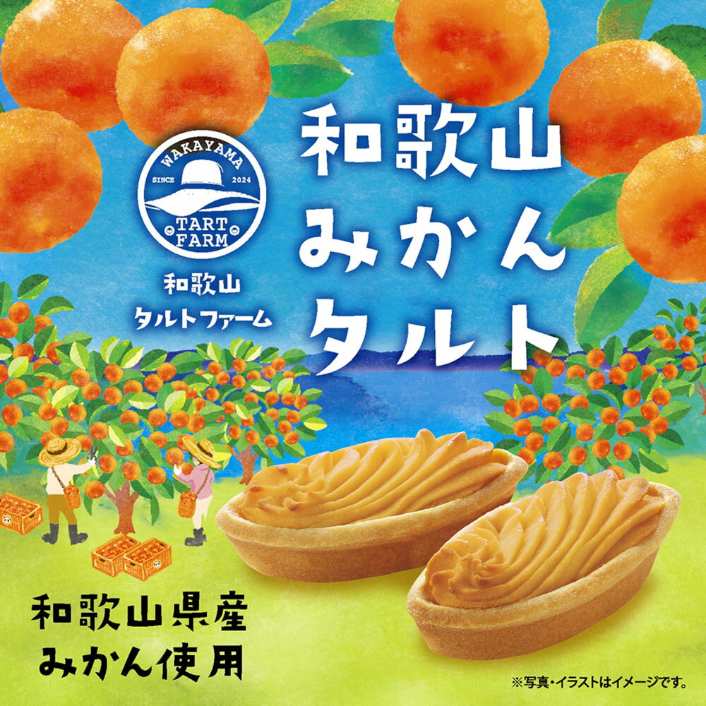 紀伊観光物産和歌山みかんタルト(5個入)