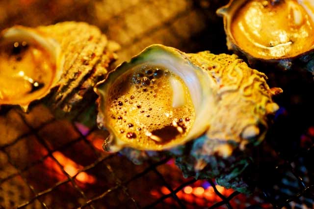 �������������դ��������व������5��������Ǯ�ѡ������������������Բľ���