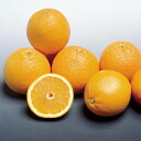 みかん屋のバレンシアオレンジ(紀南のバレンシア) L〜2Lサイズ(約3kg・約5kg) 贈答用・自宅用※多少傷有り【送料無料※北海道・沖縄県は送料+900円】