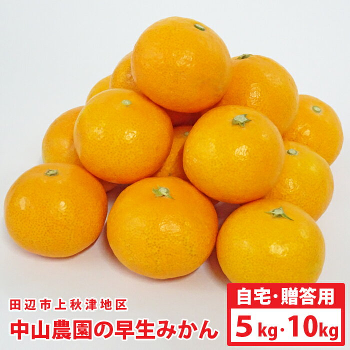 中山さんの美味しい早生温州みかん和歌山県田辺市上秋津地区【送料無料】※沖縄県は送料900円・※北海道へはお届けできません