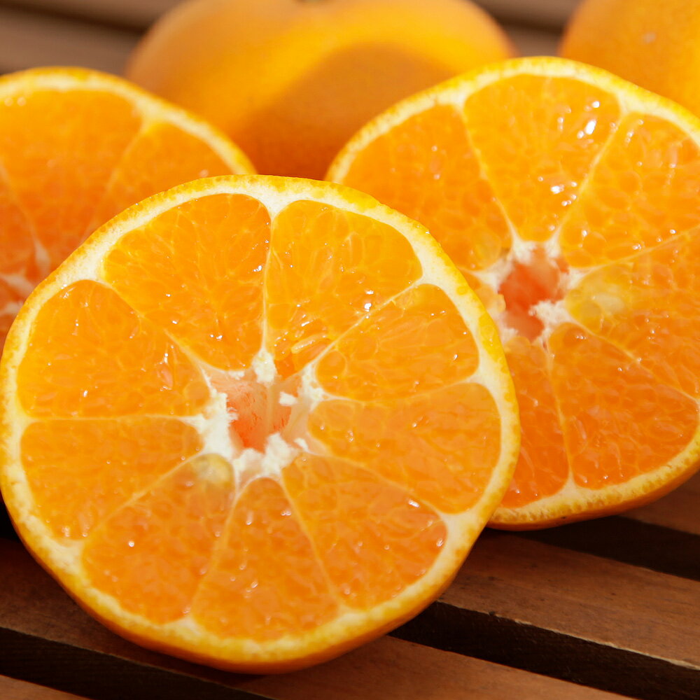 和歌山県産　みかん屋のはるみはるみみかん　　Lサイズ