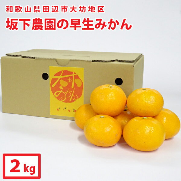 ギフト　送料無料　【坂下農園】大坊みかん[温州みかん]（約2kg）和歌山県田辺市大坊地区のみかんです。※北海道へはお届けできません※沖縄県は送料900円【A-087】のサムネイル