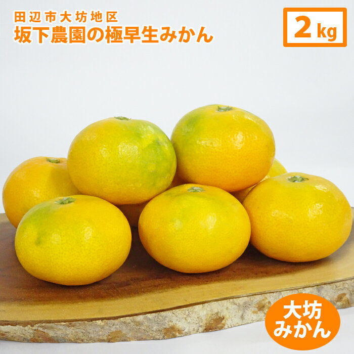 坂下農園　大坊みかん　極早生温州みかん（約2kg）和歌山県田辺市大坊地区のみかんです。送料無料※沖縄県は送料700円　※北海道へはお届けできませんのサムネイル