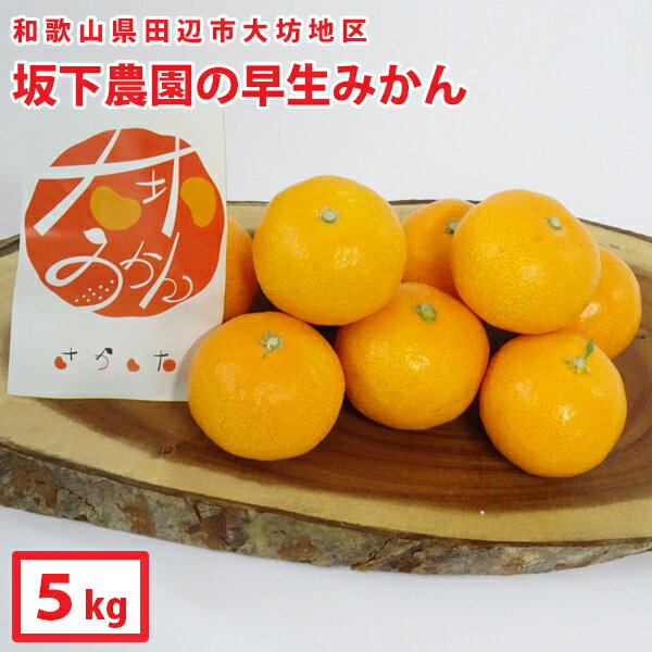 ギフト　送料無料　【坂下農園】大坊みかん[温州みかん]（約5kg）和歌山県田辺市大坊地区のみかんです。※北海道・沖縄県は送料無料対象外【A-088】のサムネイル