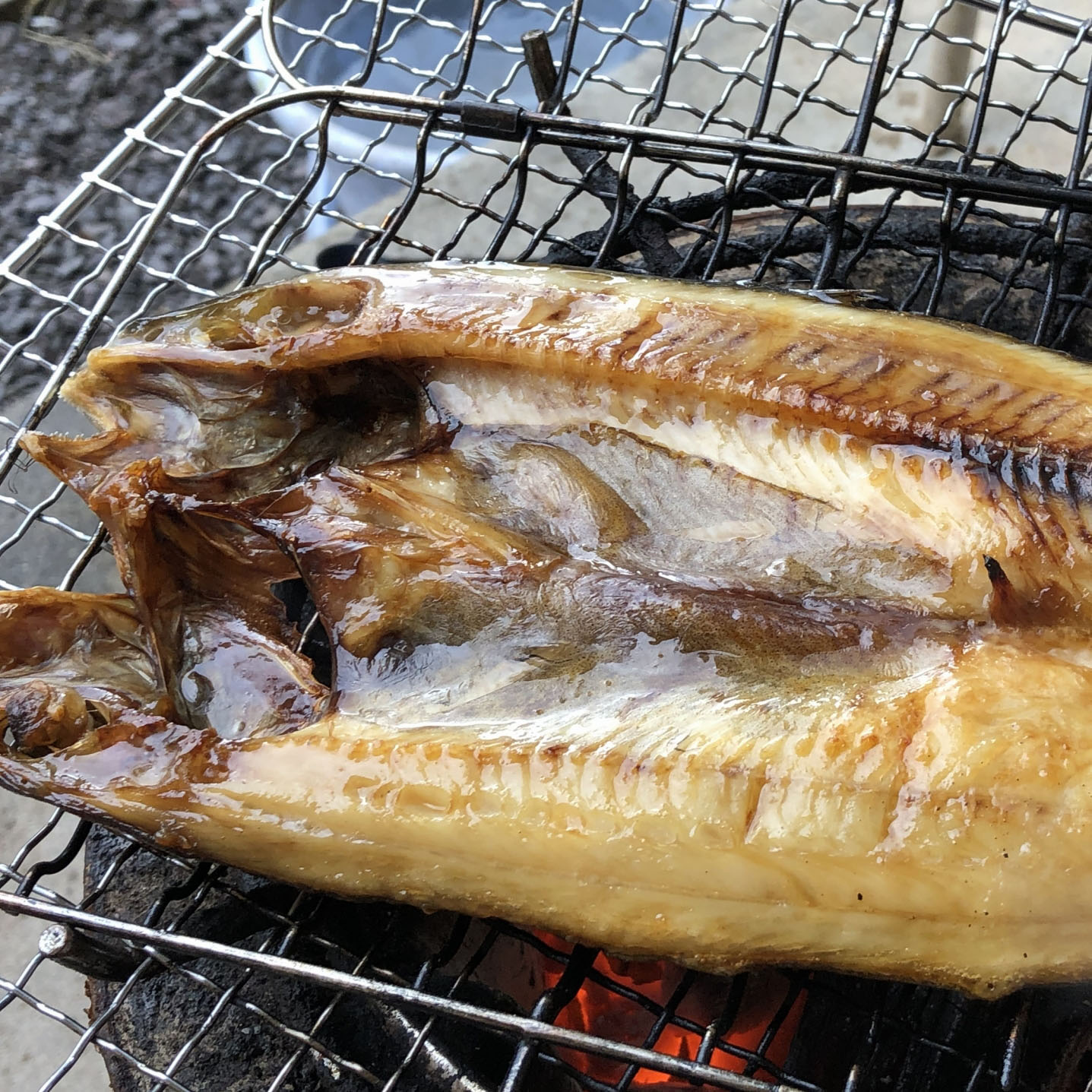 ���̳�ƻ���ۿ��ۤä�[�ۥå�]������1��ˢ������ѥå�