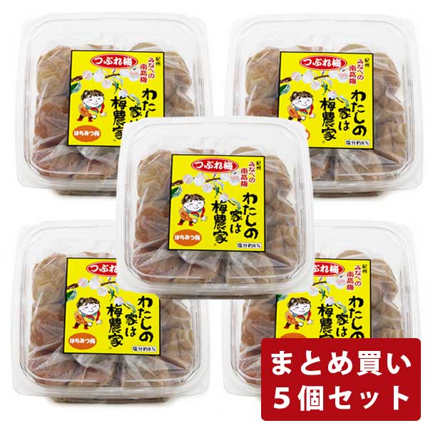 ぷらむ工房 わたしの家は梅農家つぶれ梅（640g×5個）岩本食品　皮やぶれのお得な訳あり梅干し