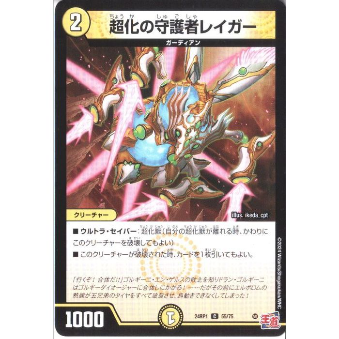 [C] DM24-RP1-55/75 Ķμԥ쥤 []