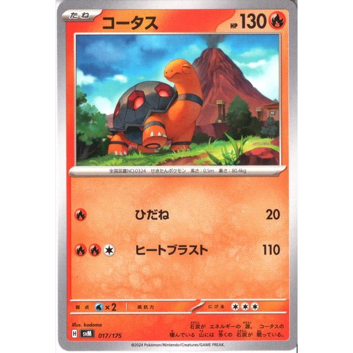 ȥ쥫ΥĥܡŷԾŹ㤨[] SVM-017/175ԥ[]פβǤʤ30ߤˤʤޤ