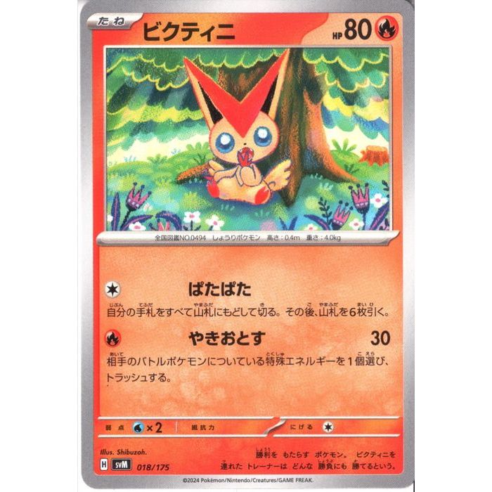 ȥ쥫ΥĥܡŷԾŹ㤨[] SVM-018/175ԥӥƥˡ[]פβǤʤ30ߤˤʤޤ