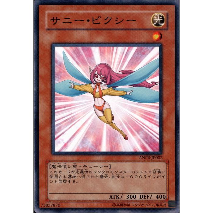 [N] ANPR-JP002ԥˡԥ[]