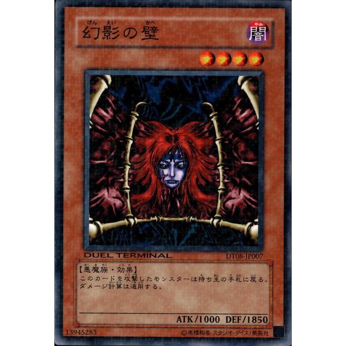 [N] DT08-JP007ԸƤɡ[]