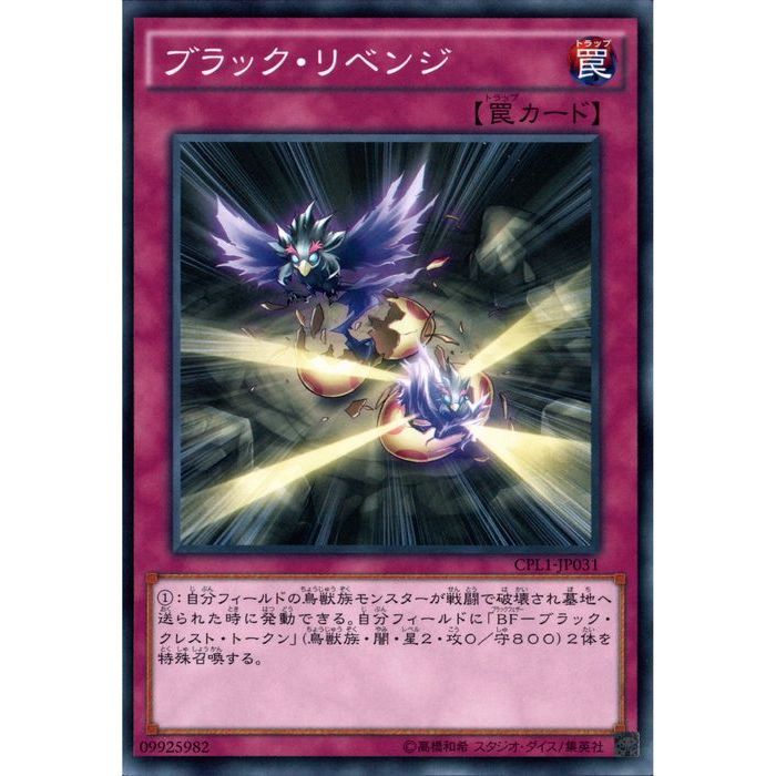 [N] CPL1-JP031ԥ֥å٥󥸡[]