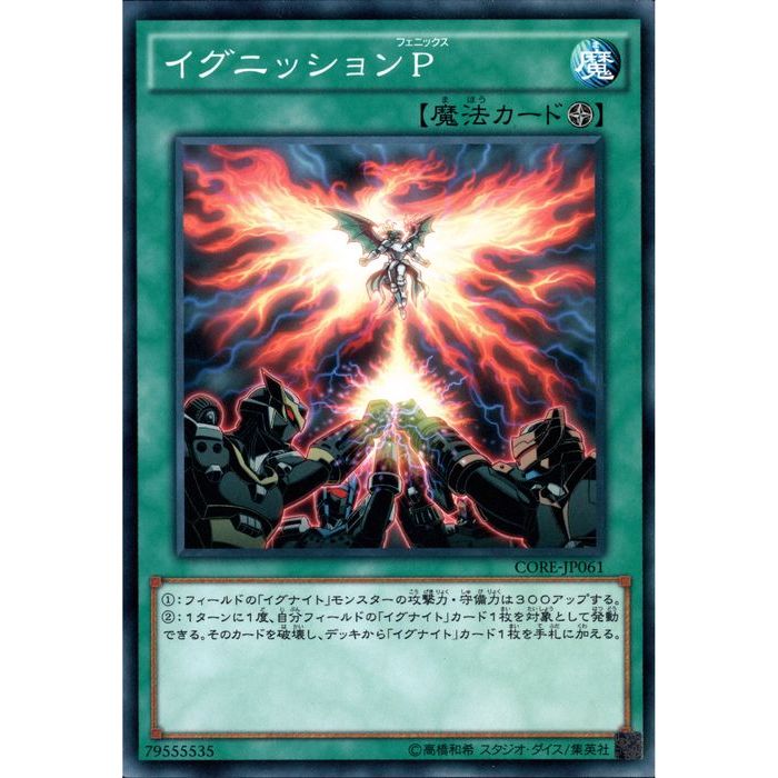 [N] CORE-JP061ԥ˥åP[]
