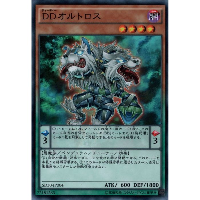 [SR] SD30-JP004DDȥ[]