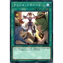 [N] CIBR-JP062《ライバル・アライバル》[中古]