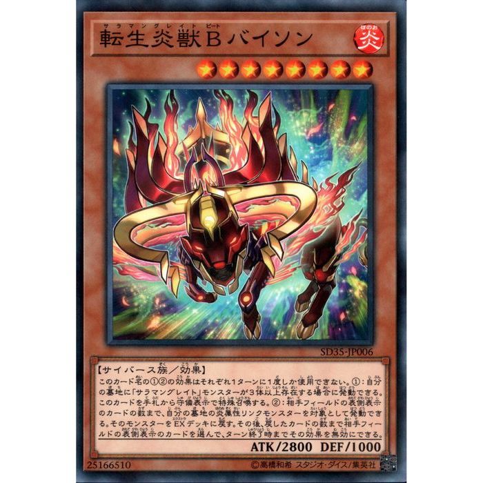 [NPA] SD35-JP006žBХ[]
