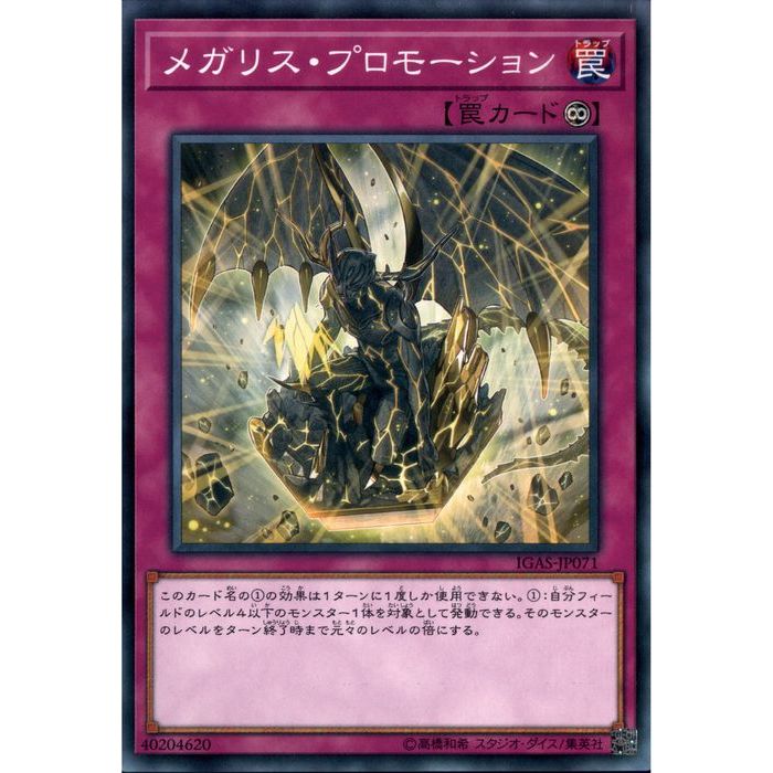 [N] IGAS-JP071ԥᥬꥹץ⡼[]