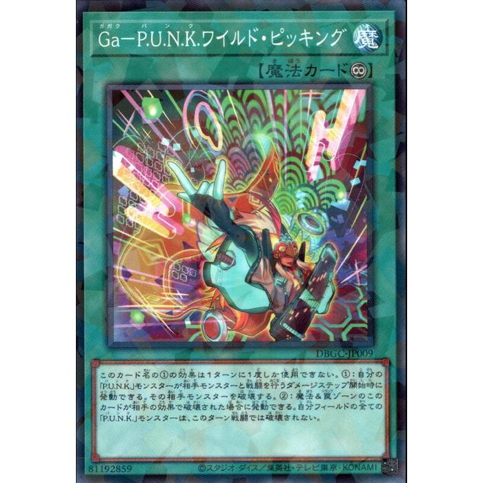 [NPA] DBGC-JP009GaP.U.N.K.磻ɡԥå󥰡[]