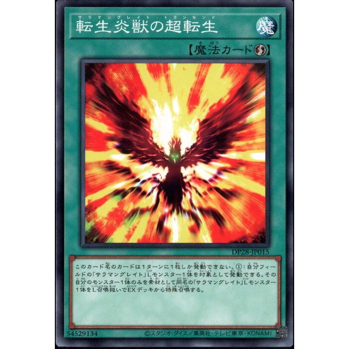 [N] DP28-JP015žäĶž[]