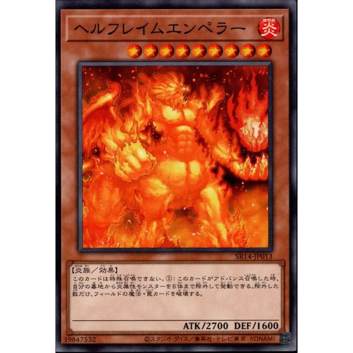 [N] SR14-JP013ԥإե쥤२ڥ顼[]