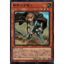 新鋭の女戦士 【VJMP-JP207】【UR】_[中古]