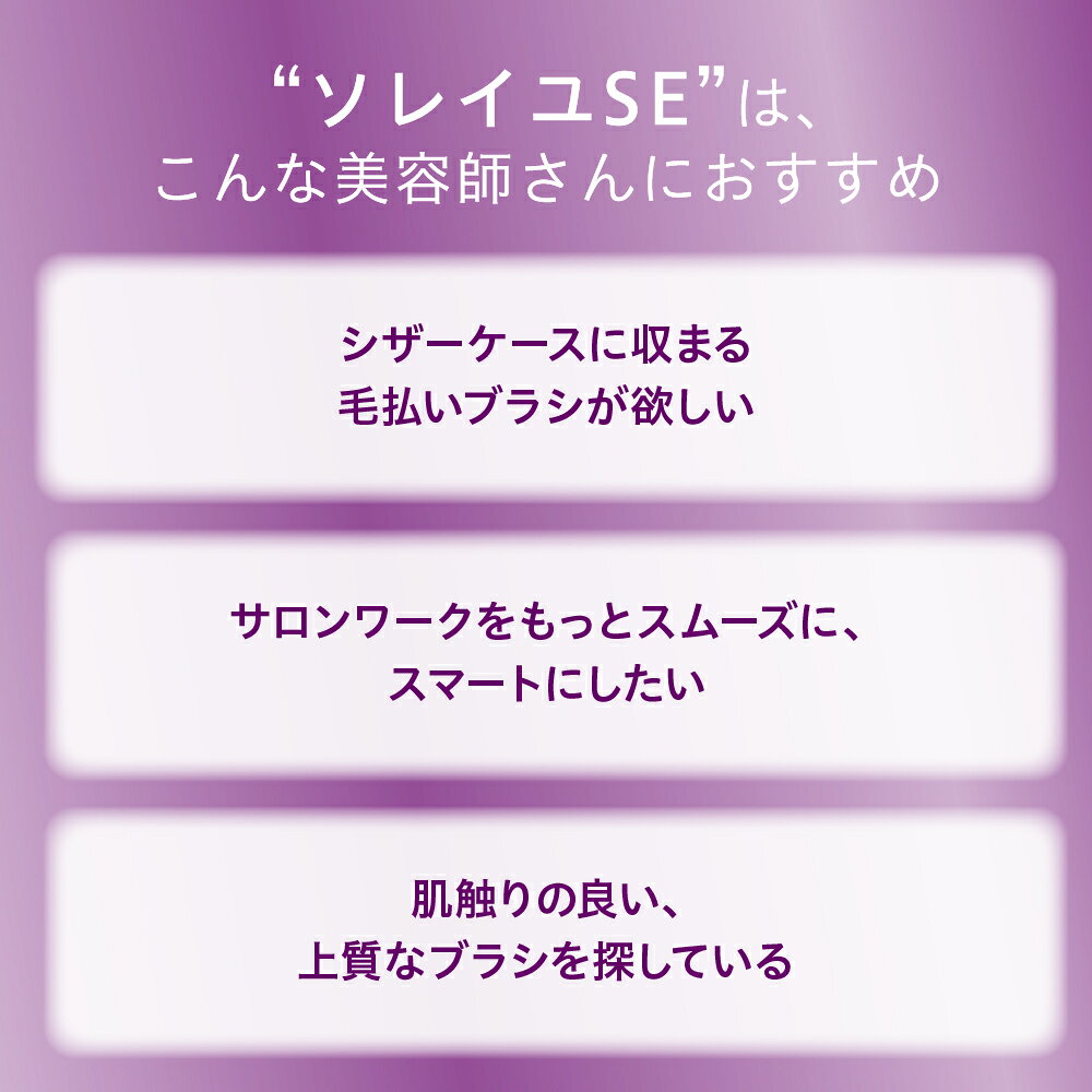 【公式】アイビル フェイスブラシ ソレイユSE