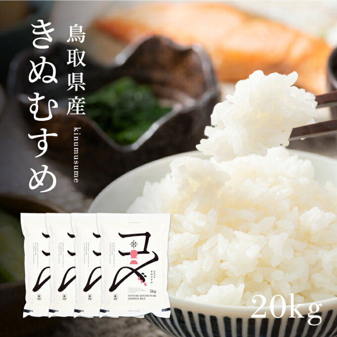 【令和4年・新米】【20kg】【真空パック】令和4年産 鳥取県産きぬむすめ 米 きぬ...