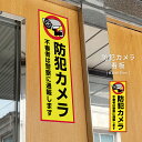 【防犯カメラ】W100mm×H300mm 防犯カメラ 不審者は警察に通報します 監視カメラ 作動中 監視中 24時間 録画中 屋外 激安看板 プレート看板 cmr-12
