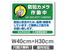 【防犯カメラ作動中 WARNING 24H時間記録中】W400mm×H300mm 不法投棄 監視カメラ 作動中 監視中 24時間 録画中 屋外 オーダー セキュリティ看板 不法投棄厳禁!エトセトラ 屋外ゴミ捨て迷惑行為防止対策 私有地 マンション管理 camera-303