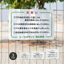 【お得なクーポン配布中】【お願い ルールを守って清潔環境】マンション管理 アパート管理 選べる3サイズ 不動産管理看板 管理組合様用 不法投棄禁止ゴミ 分別 看板 gm-16