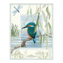 Bothy Threads クロスステッチ刺繍キット 「Wildlife - Kingfisher」 (カワセミ) WIL1 ボシースレッズ DERWENTWATER DESIGNS 