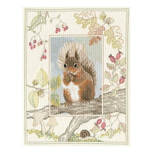 Bothy Threads クロスステッチ刺繍キット 「Wildlife - Red Squirrel」 (キタリス) WIL4 ボシースレッズ DERWENTWATER DESIGNS 【海外取り寄せ/納期40〜80日程度】