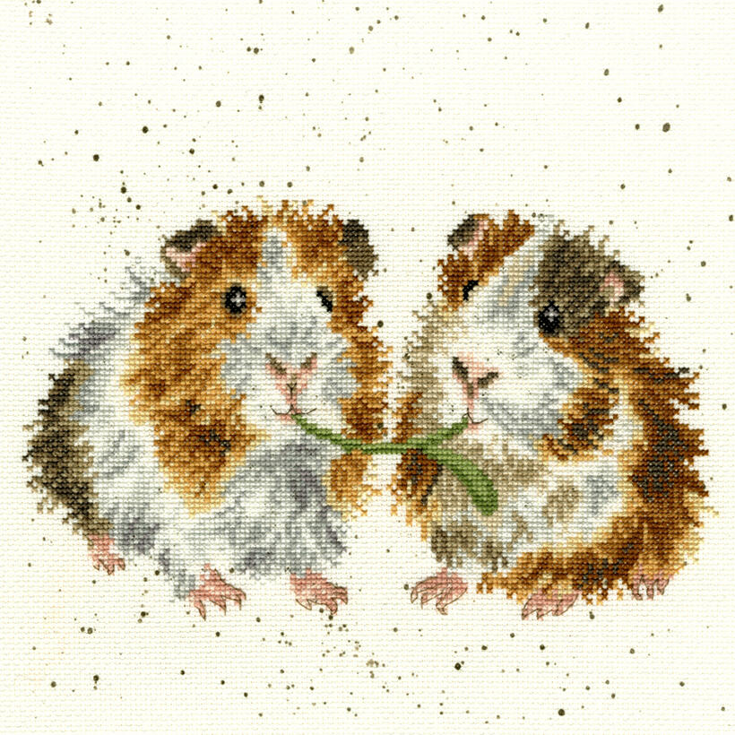 Rakuten - Bothy Threads クロスステッチ刺繍キット 「Lettuce Be Friends」 XHD19 ボシースレッズ 【取り寄せ/納期40〜80日程度】