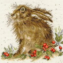Bothy Threads クロスステッチ刺繍キット 「Hippy Hare」 XHD38 ボシースレッズ 【取り寄せ/納期40~80日程度】 ウサギ