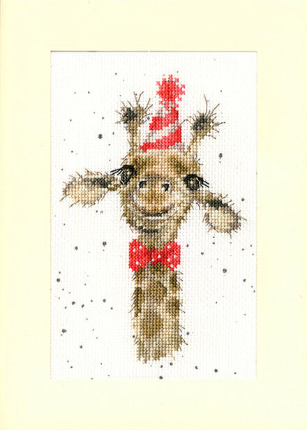 Bothy Threads ƥåɽå 