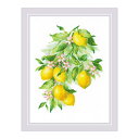 RIOLISクロスステッチ刺繍キット No.2054 "Bright Lemons" (レモン) 【海外取り寄せ/納期30~60日程度】