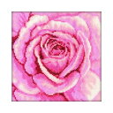 RTO クロスステッチ刺繍キット C070 「Pink Rose」 (ピンクのバラ) 【海外取り寄せ/通常納期40~80日程度】