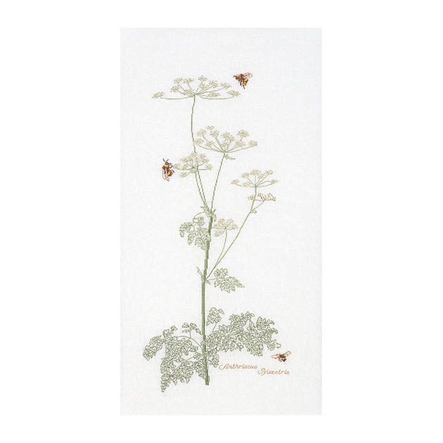 Rakuten - Thea Gouverneur クロスステッチ刺繍キット No.1067A 「Cow Parsley」 布:綿アイーダ (シャク 杓 花) オランダ テア・グーヴェルヌール 【取り寄せ/納期40〜80日程度】
