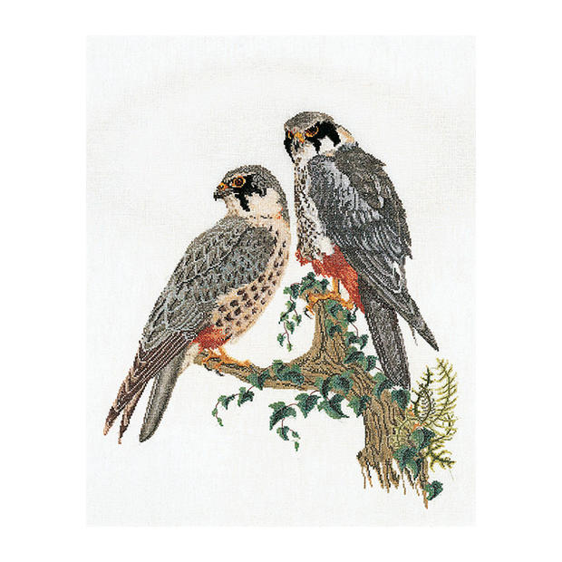 Thea Gouverneur クロスステッチ刺繍キット No.2024L 「Falcons」(布:リネン/ファルコン 隼 ハヤブサ 鳥) オランダ テア・グーヴェルヌール 【取り寄せ/納期40〜80日程度】