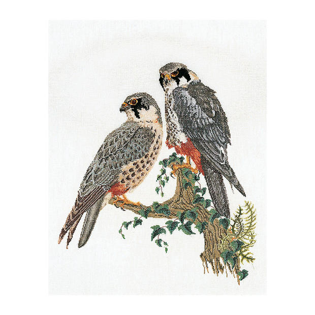 Rakuten - Thea Gouverneur クロスステッチ刺繍キット No.2024L 「Falcons」(布:リネン/ファルコン 隼 ハヤブサ 鳥) オランダ テア・グーヴェルヌール 【取り寄せ/納期40〜80日程度】