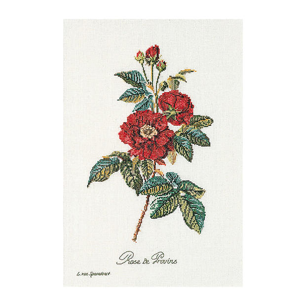乐天商城 - Thea Gouverneur クロスステッチ刺繍キット No.2030 「Rose Redoute」(Redout&eacute; バラ ローズ 花) オランダ テア・グーヴェルヌール 【取り寄せ/納期40〜80日程度】