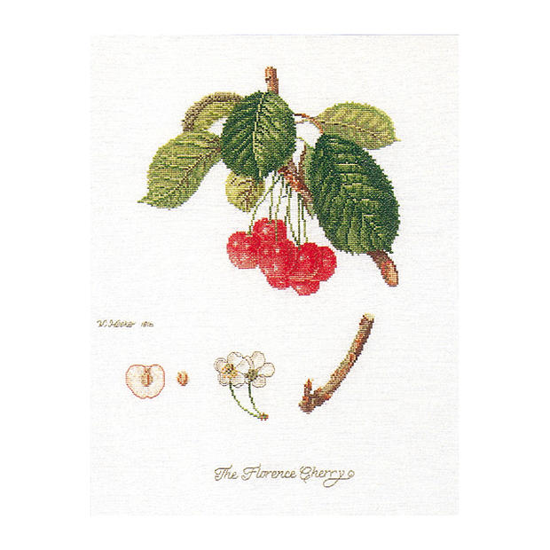 Thea Gouverneur クロスステッチ刺繍キット No.2058 「Flarance Cherry」(サクランボ 果物) オランダ テア・グーヴェルヌール 【取り寄せ/納期40〜80日程度】