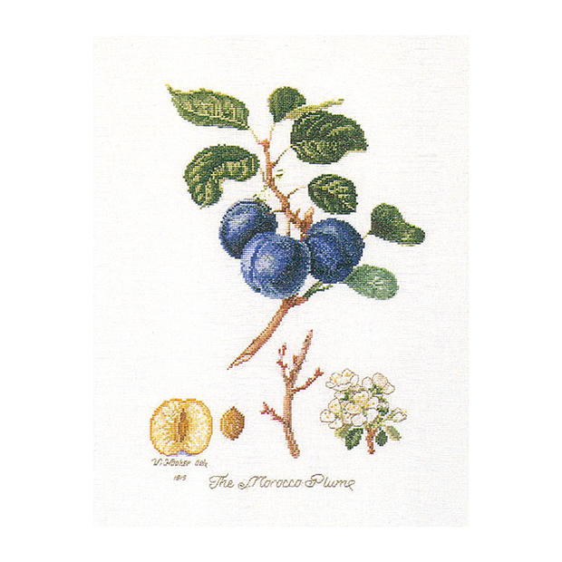 Thea Gouverneur クロスステッチ刺繍キット No.2059 「Morrocco Plum」(モロッコ・プラム 果物) オラン..