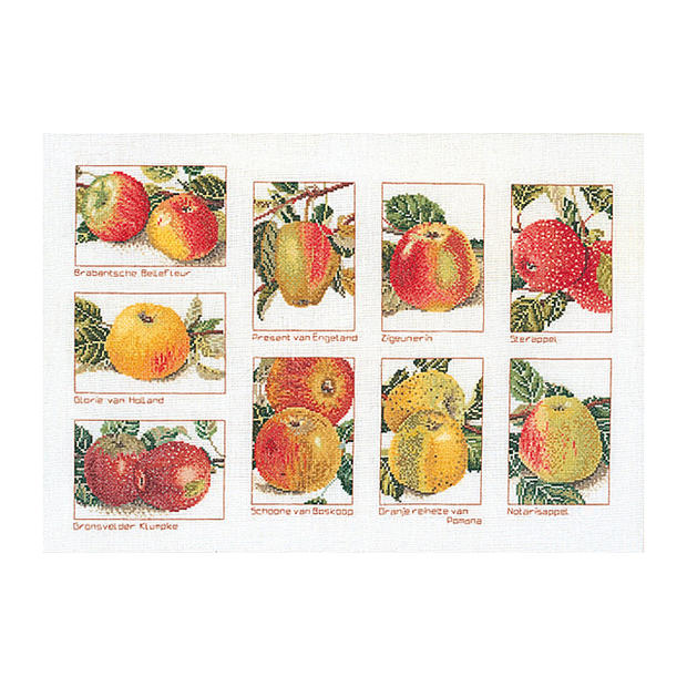 Thea Gouverneur クロスステッチ刺繍キット No.2082A 「Applest」 布:綿アイーダ (りんご 果物) オラン..